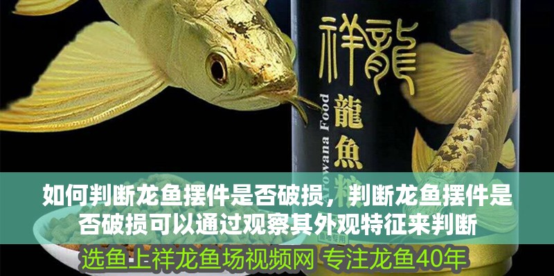 如何判斷龍魚擺件是否破損，判斷龍魚擺件是否破損可以通過觀察其外觀特征來判斷