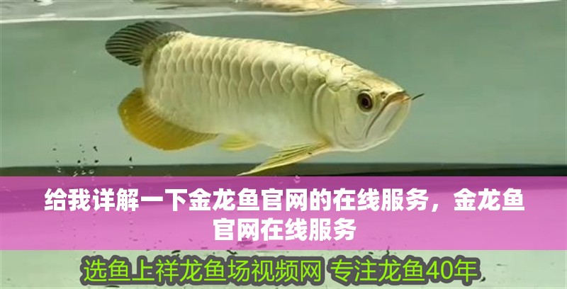 給我詳解一下金龍魚官網(wǎng)的在線服務(wù)，金龍魚官網(wǎng)在線服務(wù)