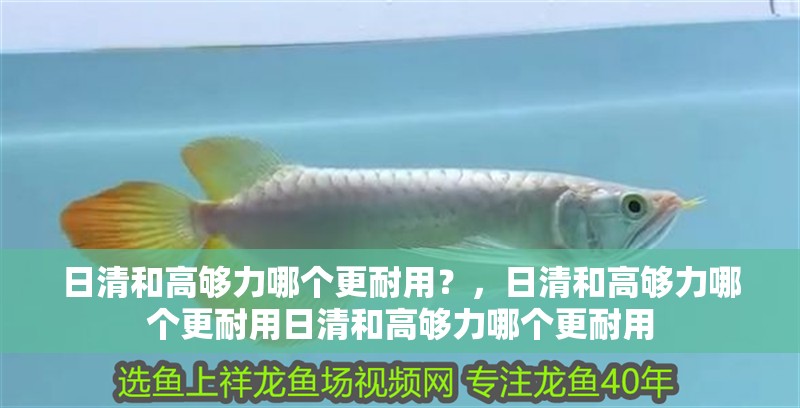 日清和高夠力哪個(gè)更耐用？，日清和高夠力哪個(gè)更耐用日清和高夠力哪個(gè)更耐用