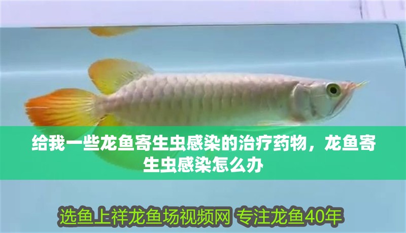 給我一些龍魚寄生蟲感染的治療藥物，龍魚寄生蟲感染怎么辦