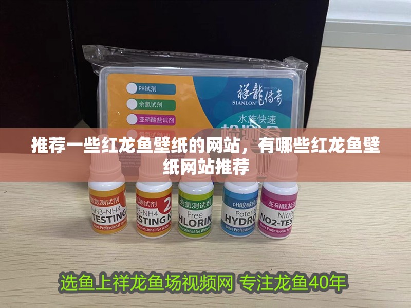 推薦一些紅龍魚壁紙的網站，有哪些紅龍魚壁紙網站推薦