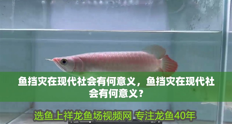 魚擋災在現代社會有何意義，魚擋災在現代社會有何意義？