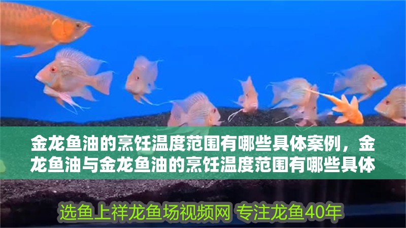 金龍魚油的烹飪溫度范圍有哪些具體案例，金龍魚油與金龍魚油的烹飪溫度范圍有哪些具體案例