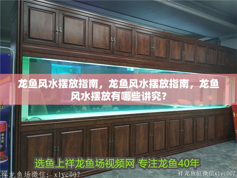 龍魚風(fēng)水擺放指南，龍魚風(fēng)水擺放指南，龍魚風(fēng)水擺放有哪些講究？