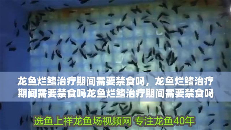 龍魚爛鰭治療期間需要禁食嗎，龍魚爛鰭治療期間需要禁食嗎龍魚爛鰭治療期間需要禁食嗎