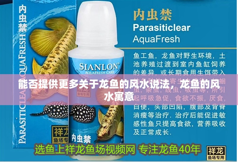 能否提供更多關于龍魚的風水說法，龍魚的風水寓意