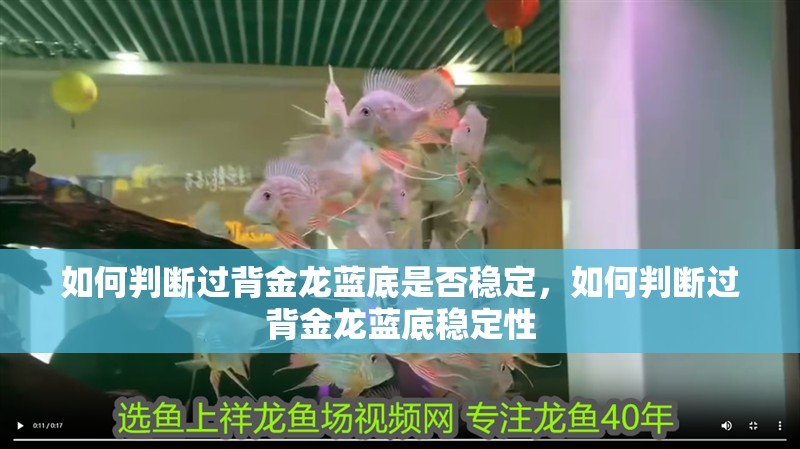 如何判斷過背金龍藍底是否穩定，如何判斷過背金龍藍底穩定性