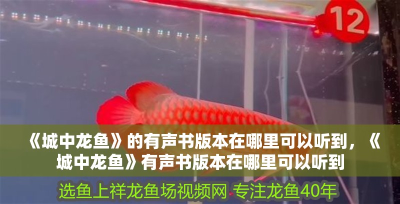 《城中龍魚(yú)》的有聲書(shū)版本在哪里可以聽(tīng)到，《城中龍魚(yú)》有聲書(shū)版本在哪里可以聽(tīng)到