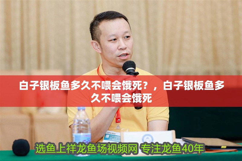 白子銀板魚多久不喂會餓死？，白子銀板魚多久不喂會餓死