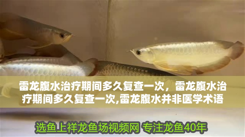 雷龍腹水治療期間多久復查一次，雷龍腹水治療期間多久復查一次,雷龍腹水并非醫(yī)學術語