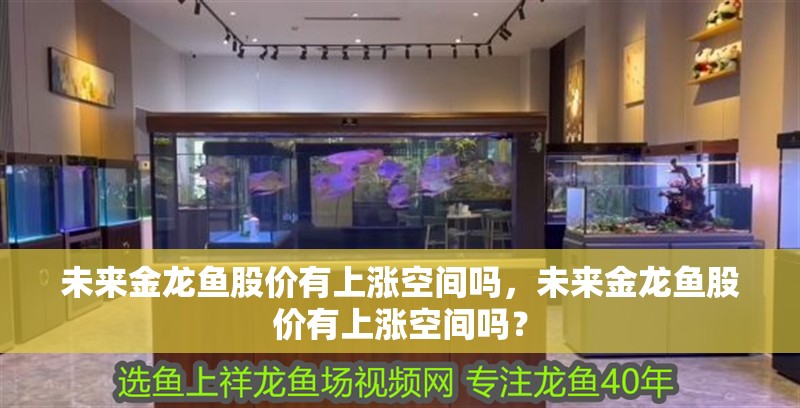 未來金龍魚股價有上漲空間嗎，未來金龍魚股價有上漲空間嗎？