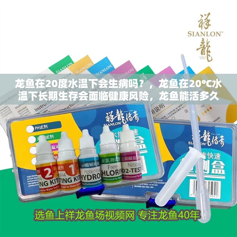 龍魚在20度水溫下會生病嗎？，龍魚在20℃水溫下長期生存會面臨健康風險，龍魚能活多久