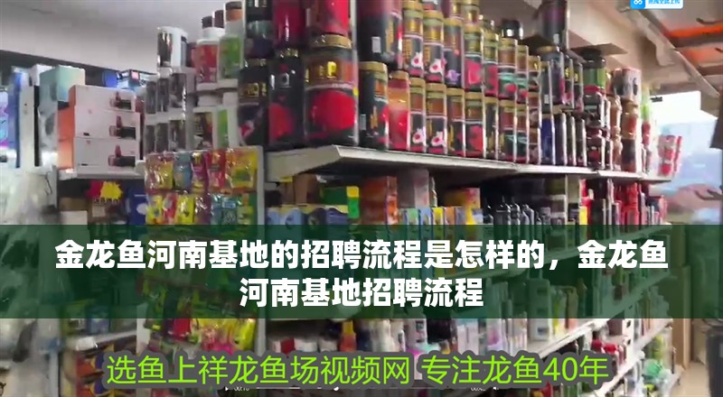 金龍魚河南基地的招聘流程是怎樣的，金龍魚河南基地招聘流程