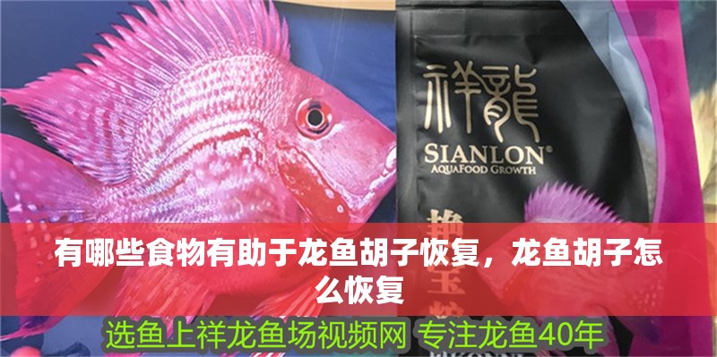有哪些食物有助于龍魚胡子恢復，龍魚胡子怎么恢復