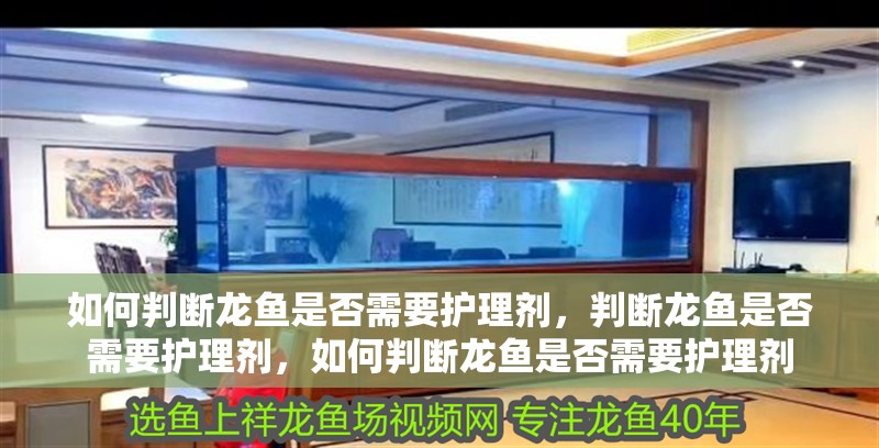 如何判斷龍魚是否需要護理劑，判斷龍魚是否需要護理劑，如何判斷龍魚是否需要護理劑