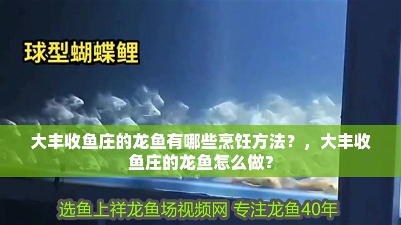 大豐收魚莊的龍魚有哪些烹飪方法？，大豐收魚莊的龍魚怎么做？