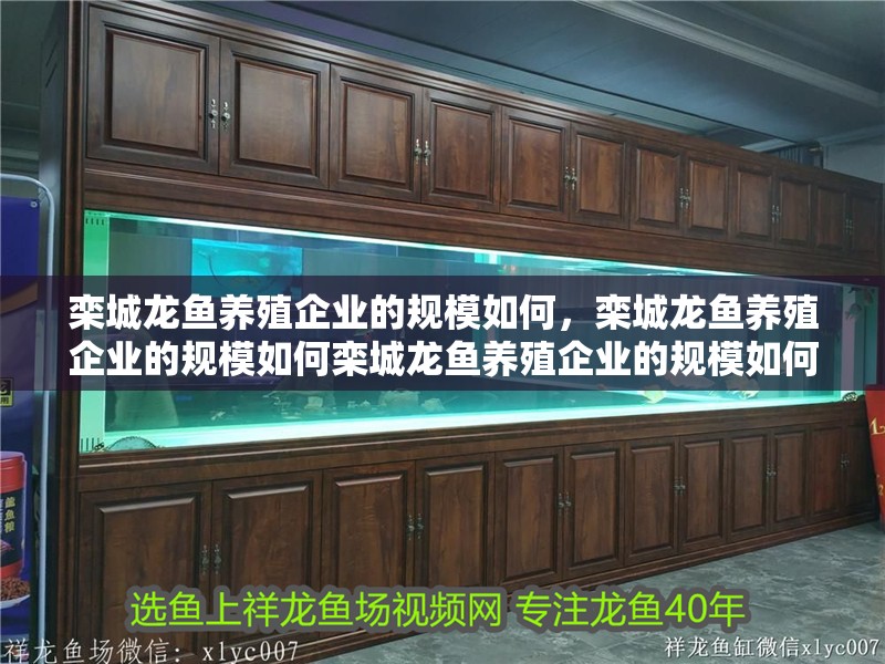 欒城龍魚養殖企業的規模如何，欒城龍魚養殖企業的規模如何欒城龍魚養殖企業的規模如何