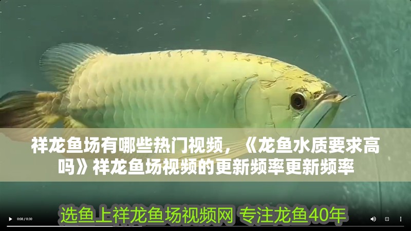祥龍魚場(chǎng)有哪些熱門視頻，《龍魚水質(zhì)要求高嗎》祥龍魚場(chǎng)視頻的更新頻率更新頻率