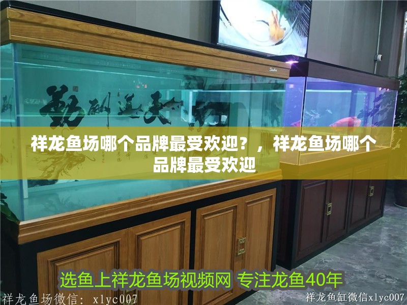 祥龍魚場哪個品牌最受歡迎？，祥龍魚場哪個品牌最受歡迎