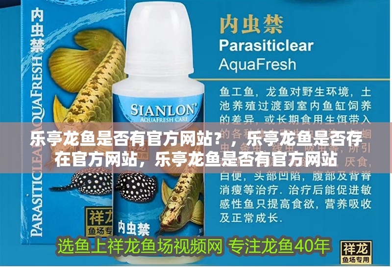樂(lè)亭龍魚是否有官方網(wǎng)站？，樂(lè)亭龍魚是否存在官方網(wǎng)站，樂(lè)亭龍魚是否有官方網(wǎng)站