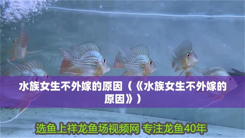 水族女生不外嫁的原因（《水族女生不外嫁的原因》）