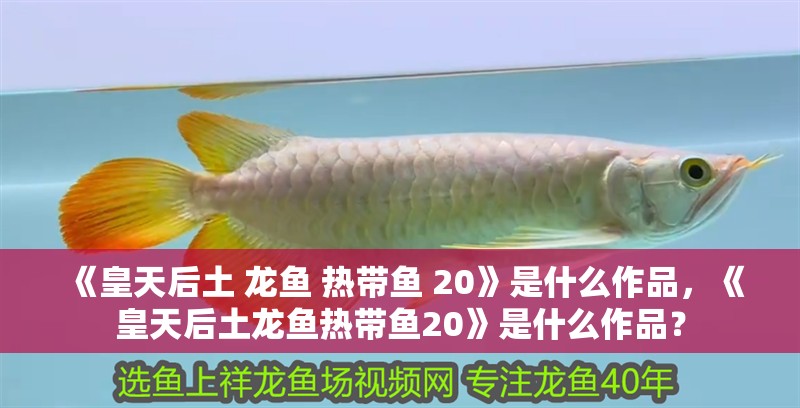 《皇天后土 龍魚 熱帶魚 20》是什么作品，《皇天后土龍魚熱帶魚20》是什么作品？