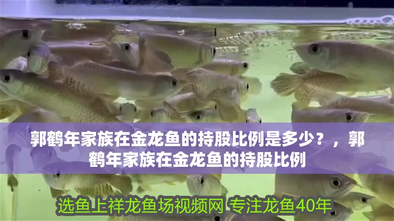 郭鶴年家族在金龍魚的持股比例是多少？，郭鶴年家族在金龍魚的持股比例