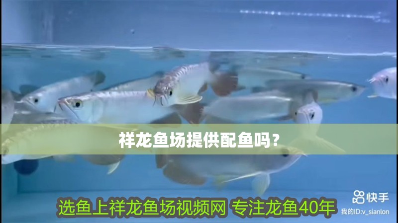 祥龍魚場提供配魚嗎？