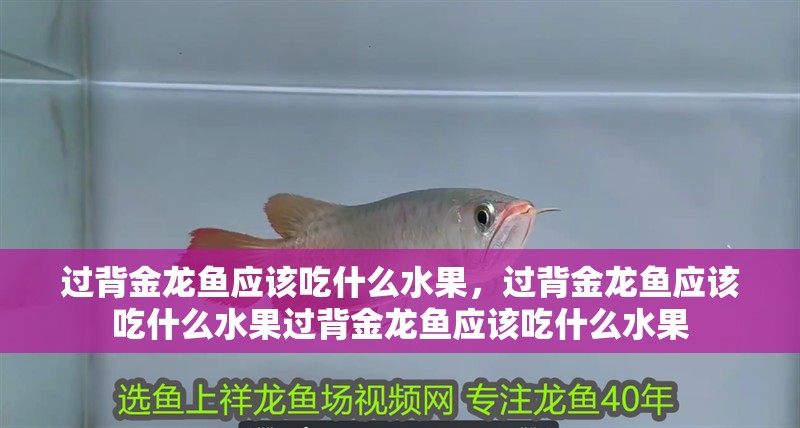 過背金龍魚應該吃什么水果，過背金龍魚應該吃什么水果過背金龍魚應該吃什么水果
