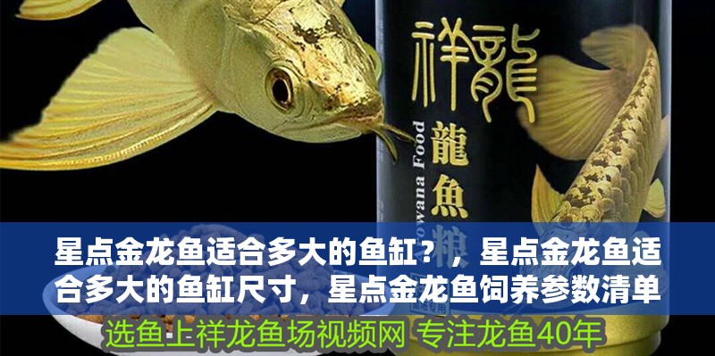 星點(diǎn)金龍魚(yú)適合多大的魚(yú)缸？，星點(diǎn)金龍魚(yú)適合多大的魚(yú)缸尺寸，星點(diǎn)金龍魚(yú)飼養(yǎng)參數(shù)清單