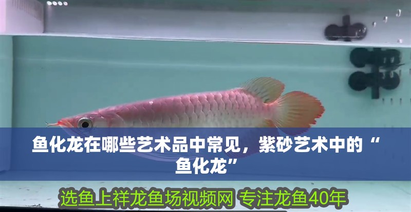 魚化龍在哪些藝術品中常見，紫砂藝術中的“魚化龍”