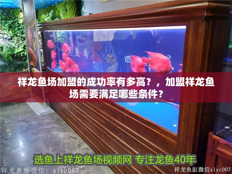 祥龍魚場加盟的成功率有多高？，加盟祥龍魚場需要滿足哪些條件？