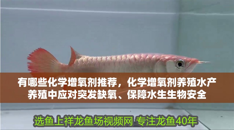 有哪些化學增氧劑推薦，化學增氧劑養殖水產養殖中應對突發缺氧、保障水生生物安全