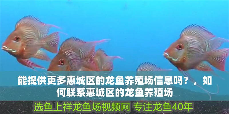 能提供更多惠城區的龍魚養殖場信息嗎？，如何聯系惠城區的龍魚養殖場