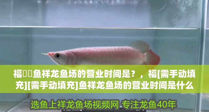 福魟魟魚祥龍魚場的營業時間是？，福[需手動填充][需手動填充]魚祥龍魚場的營業時間是什么？