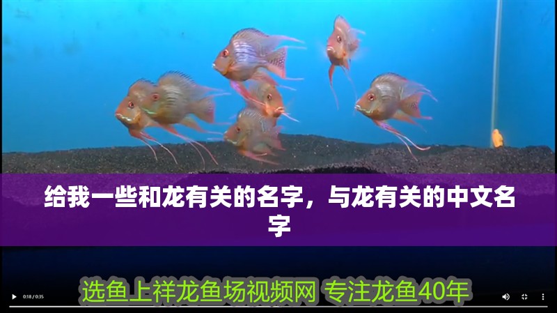 給我一些和龍有關的名字，與龍有關的中文名字