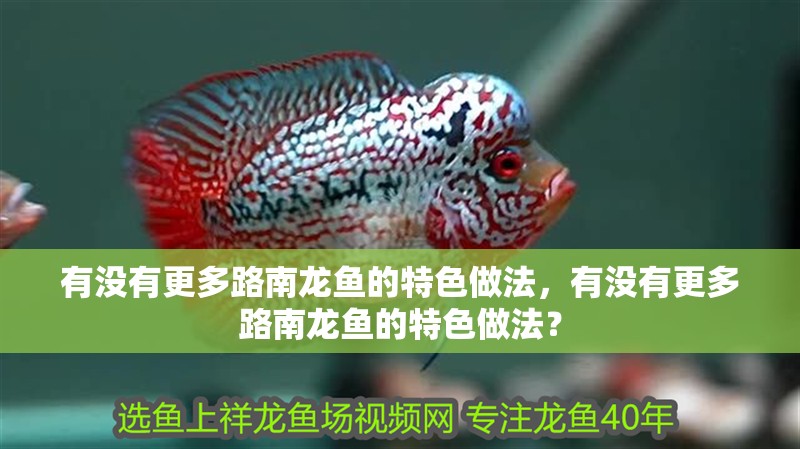 有沒(méi)有更多路南龍魚(yú)的特色做法，有沒(méi)有更多路南龍魚(yú)的特色做法？