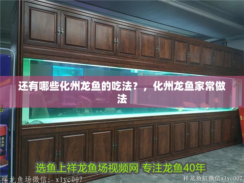 還有哪些化州龍魚的吃法？，化州龍魚家常做法