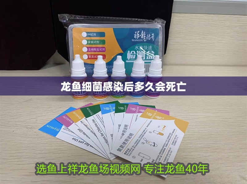 龍魚細菌感染后多久會死亡
