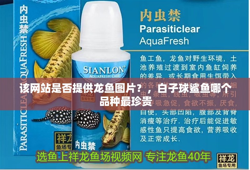 該網(wǎng)站是否提供龍魚圖片？，白子球鯊魚哪個品種最珍貴
