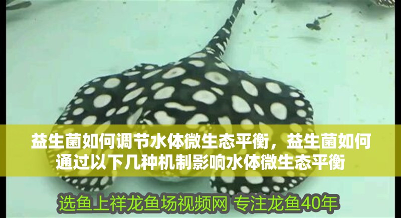 益生菌如何調(diào)節(jié)水體微生態(tài)平衡，益生菌如何通過(guò)以下幾種機(jī)制影響水體微生態(tài)平衡