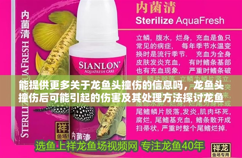 能提供更多關于龍魚頭撞傷的信息嗎，龍魚頭撞傷后可能引起的傷害及其處理方法探討龍魚頭撞傷