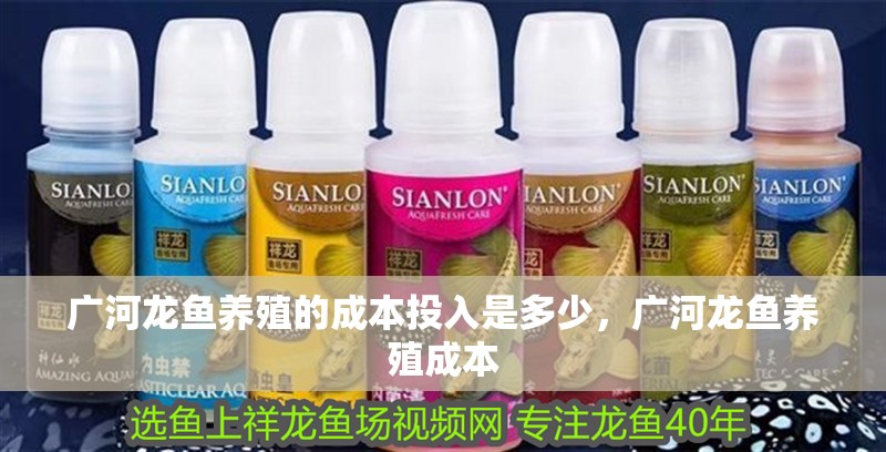 廣河龍魚養殖的成本投入是多少，廣河龍魚養殖成本