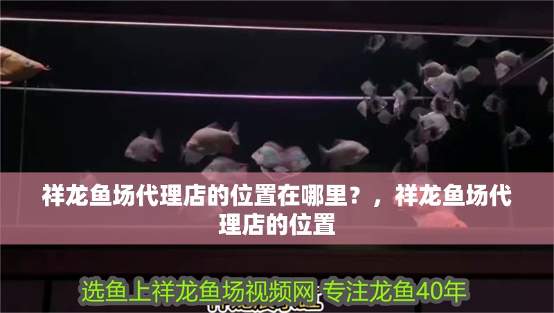 祥龍魚場代理店的位置在哪里？，祥龍魚場代理店的位置