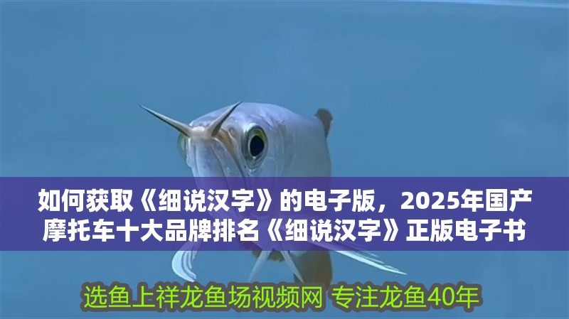 如何獲取《細說漢字》的電子版，2025年國產摩托車十大品牌排名《細說漢字》正版電子書獲取渠道清單