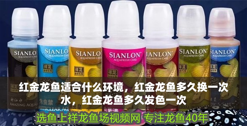 紅金龍魚適合什么環(huán)境，紅金龍魚多久換一次水，紅金龍魚多久發(fā)色一次
