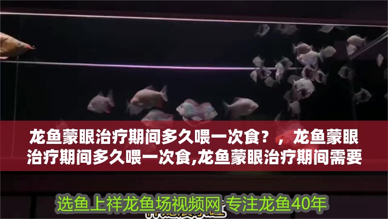 龍魚蒙眼治療期間多久喂一次食？，龍魚蒙眼治療期間多久喂一次食,龍魚蒙眼治療期間需要用藥嗎