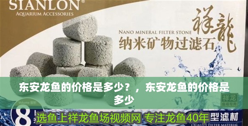 東安龍魚的價格是多少？，東安龍魚的價格是多少