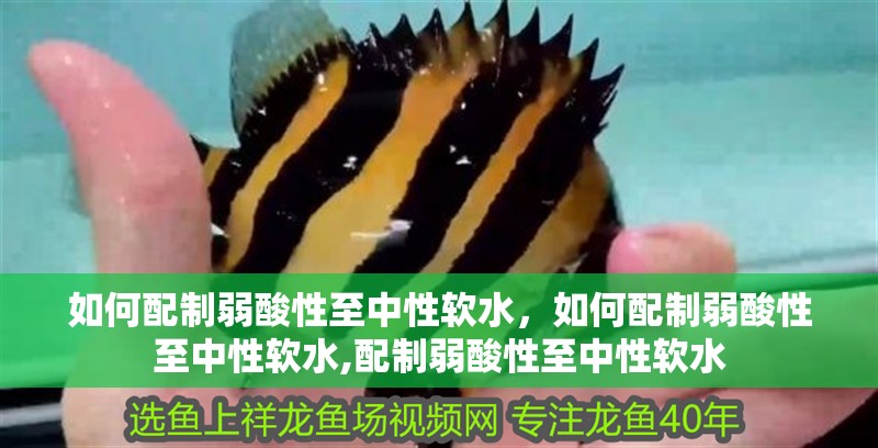 如何配制弱酸性至中性軟水，如何配制弱酸性至中性軟水,配制弱酸性至中性軟水