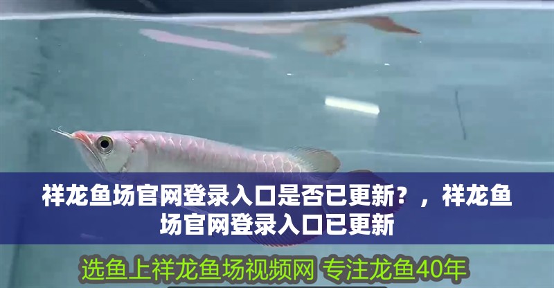 祥龍魚場官網登錄入口是否已更新？，祥龍魚場官網登錄入口已更新